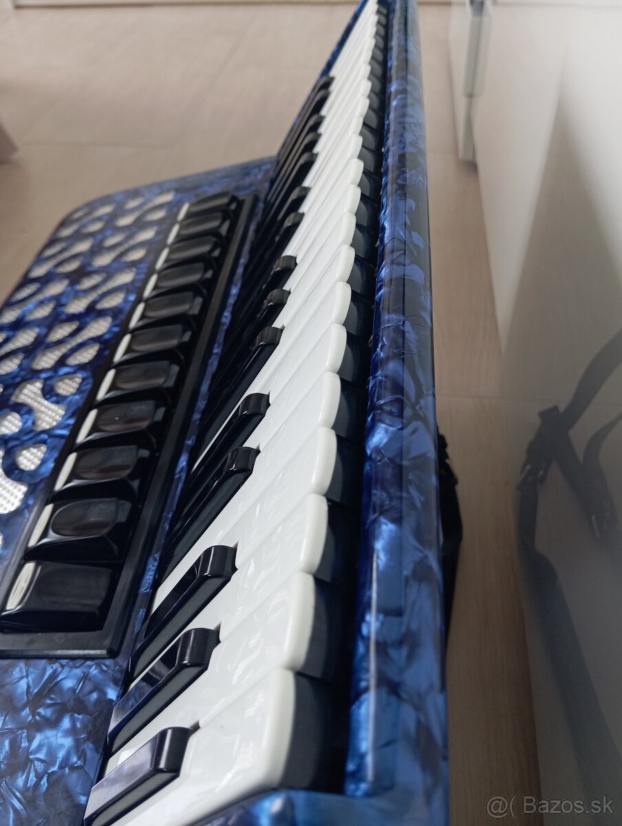 Akordeon delicia - 7