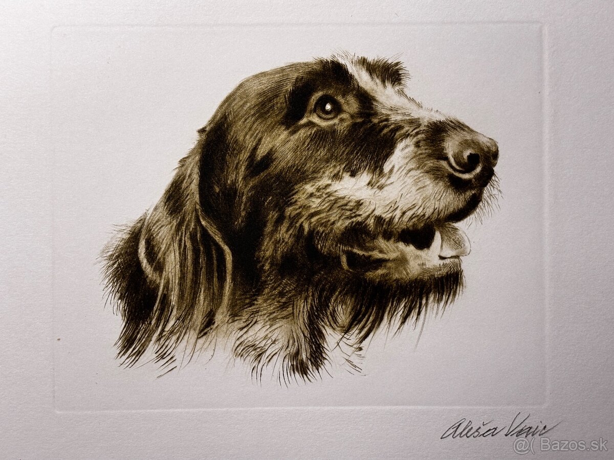 Aleš Vaic - lovecka tematika - 7