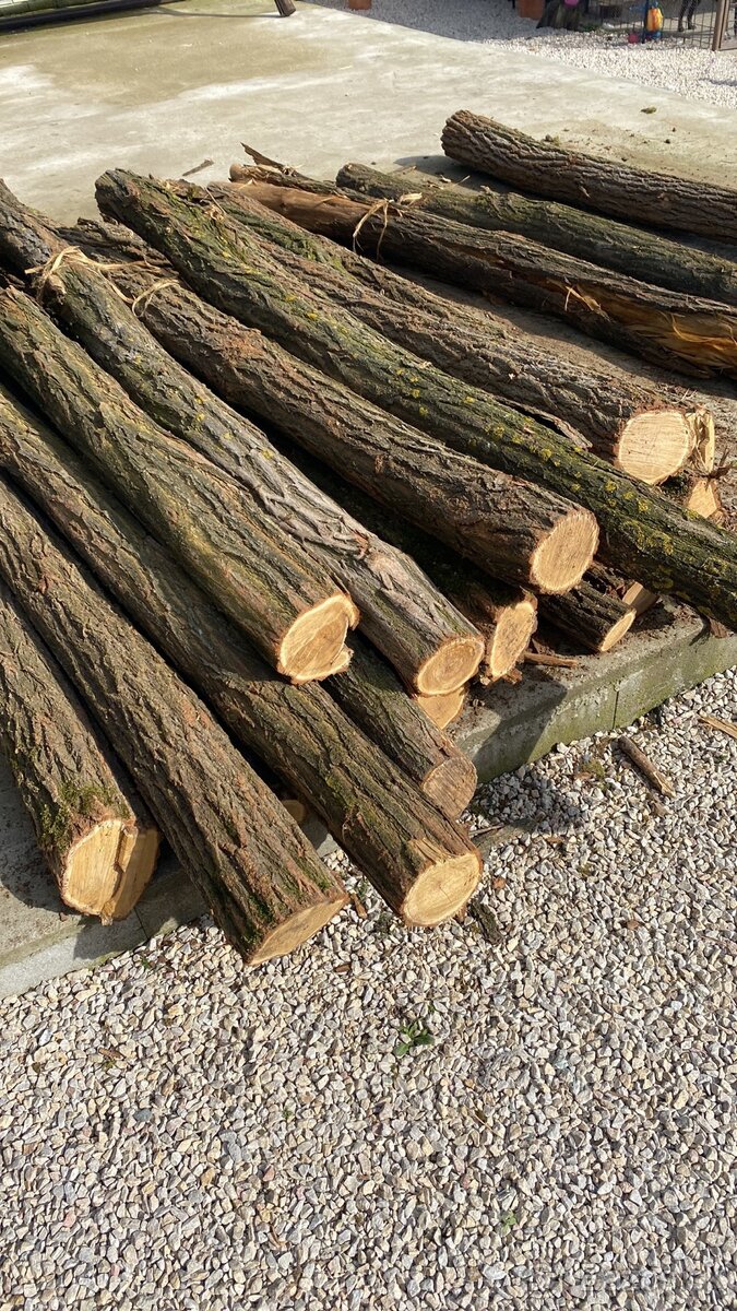 Tvrdé a mäkké suché palivové drevo - 7