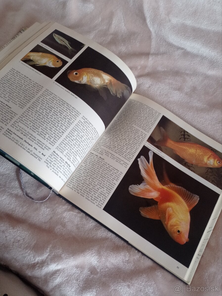 Ryby akvaristika knihy - 7