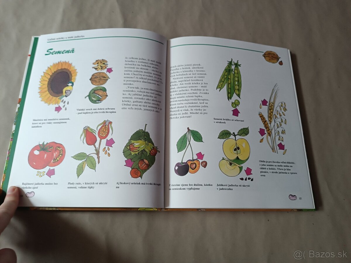 Malý záhradkár: Okno do prírody - 7