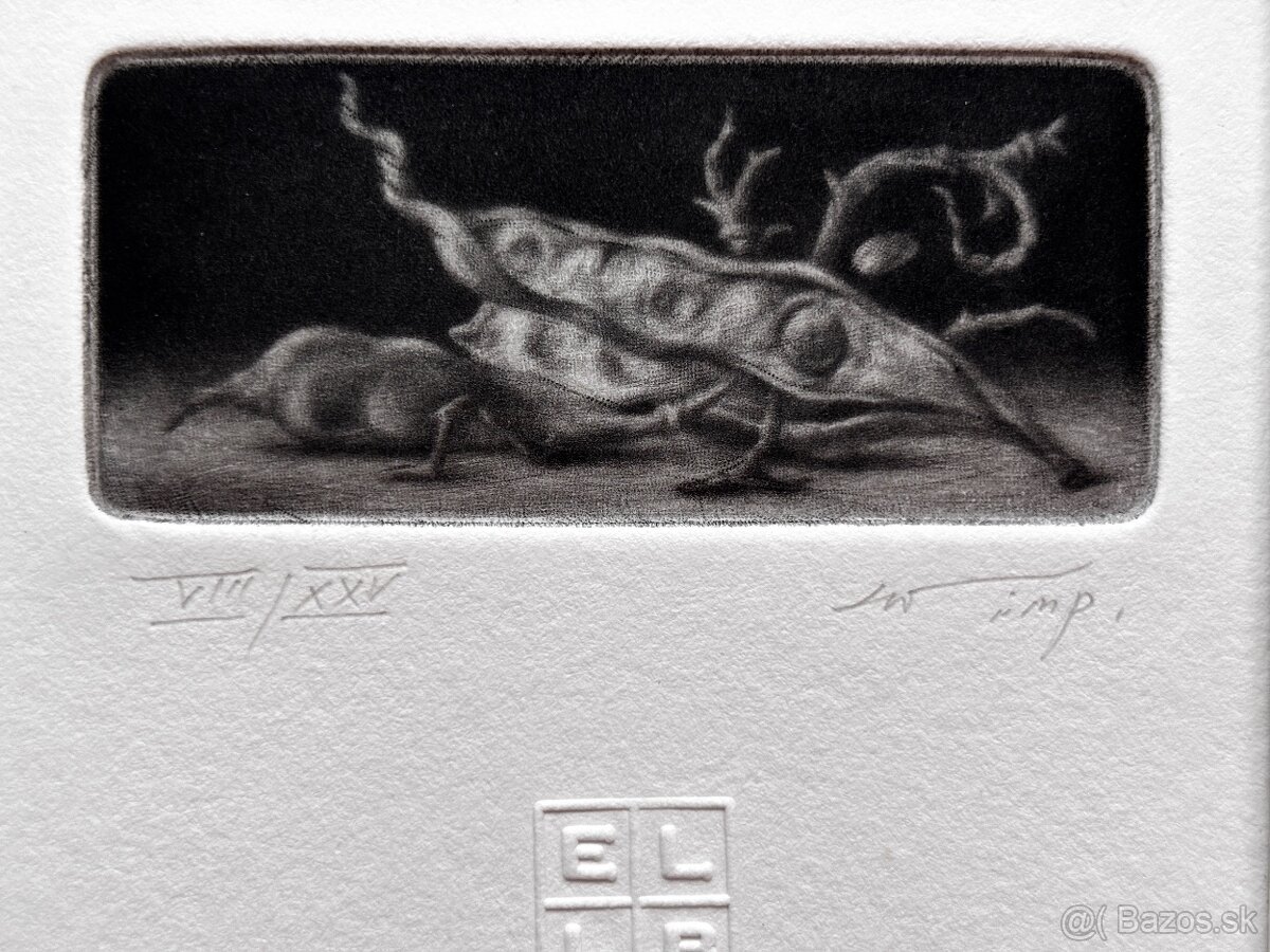 Konstantin Chmutin - 7