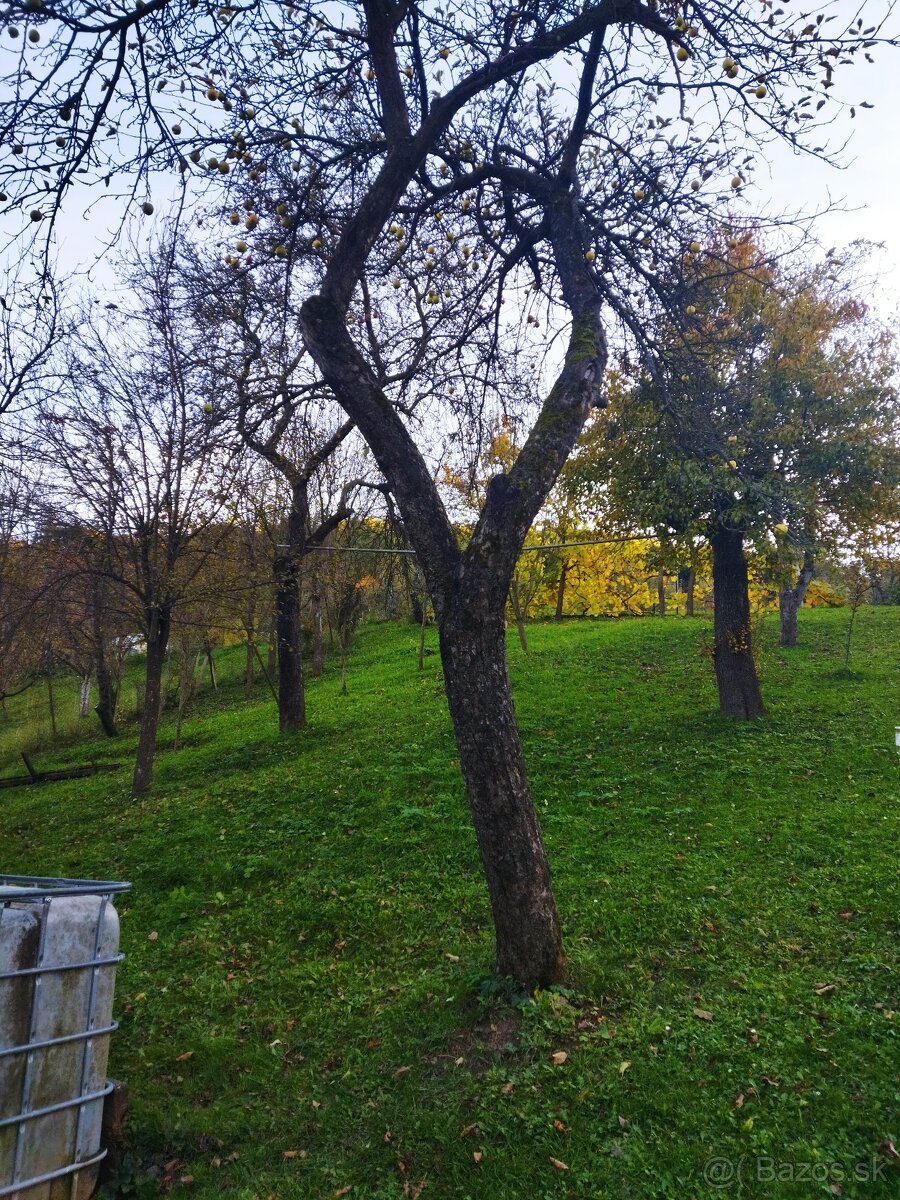 Predaj RD - Červený Kameň - 7