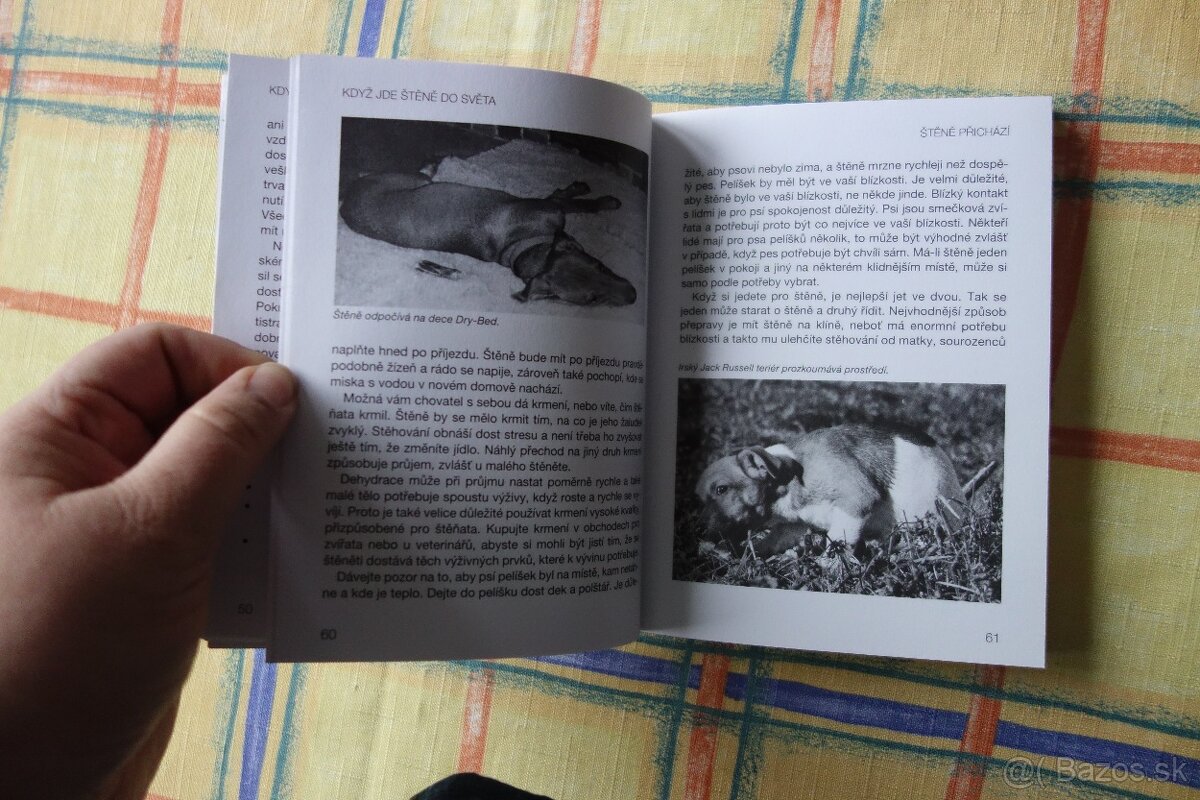 Když jde štěně do světa - 7