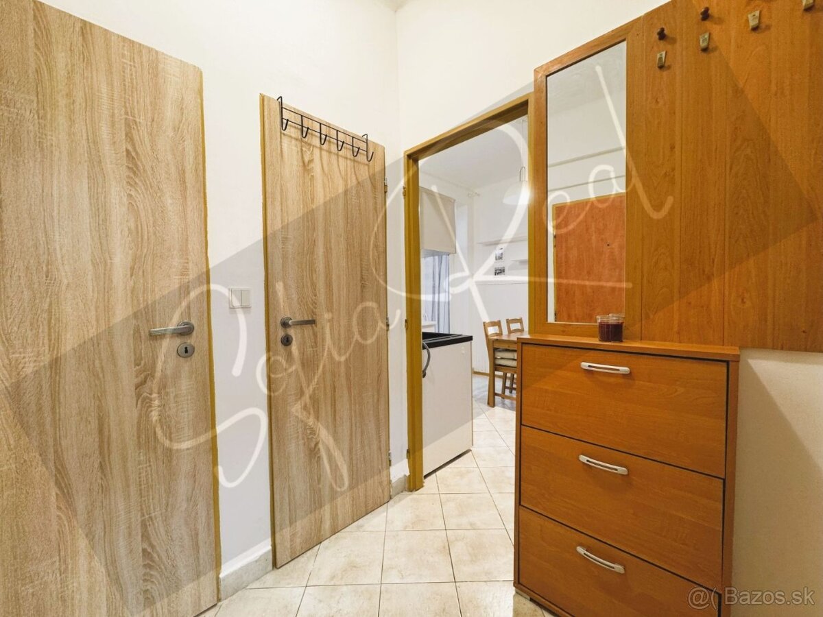 PRENÁJOM: 2-izbový byt; širšie centrum (Trnavské mýto) - 7