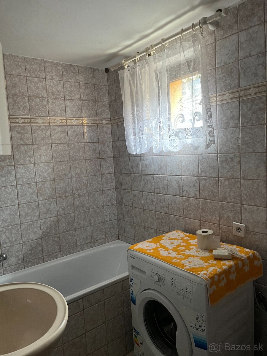 Znížená cena Dom a profi-dielňa pre automechanika - 7