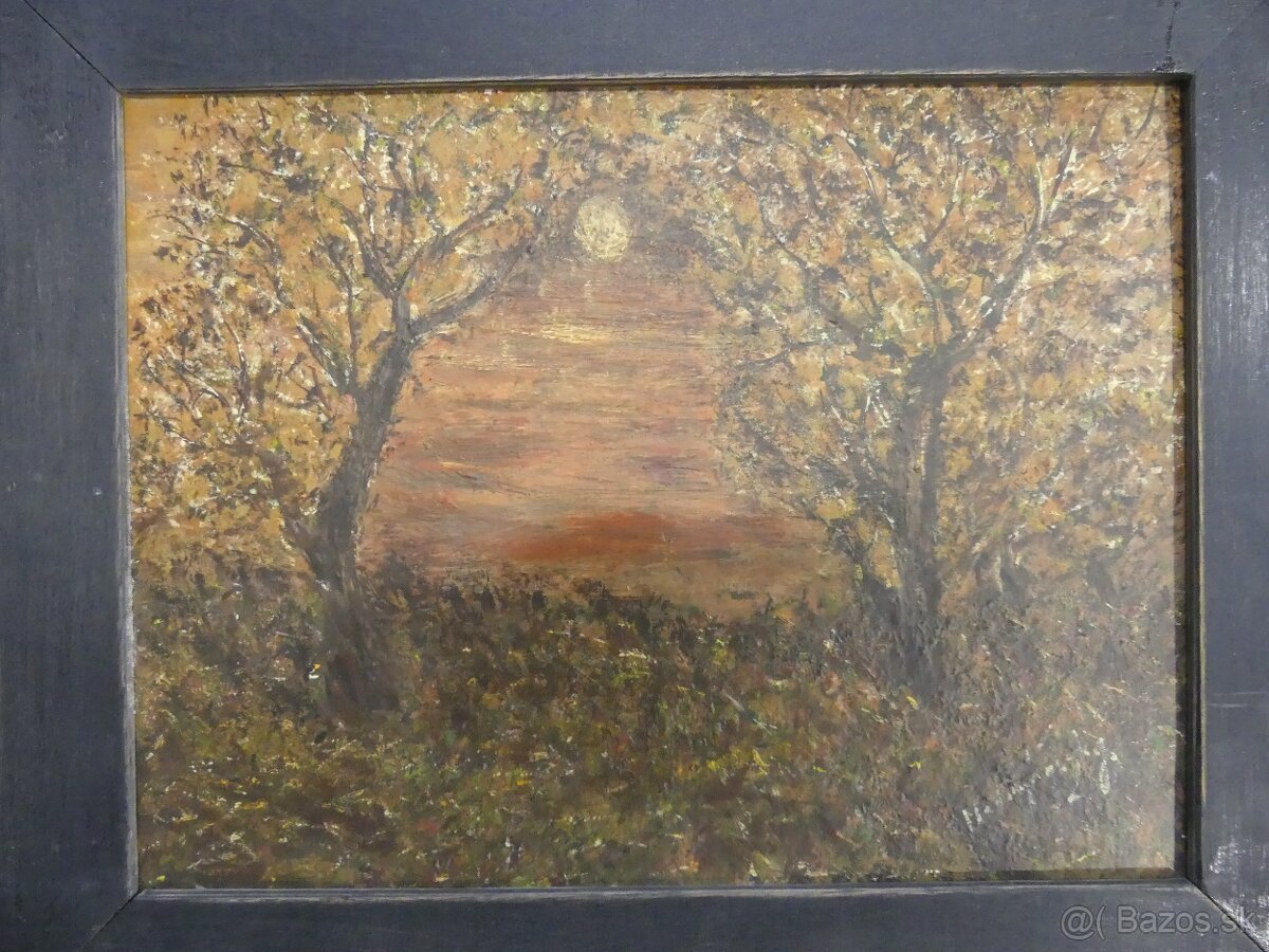 Starožitne obrazy a iné - 7