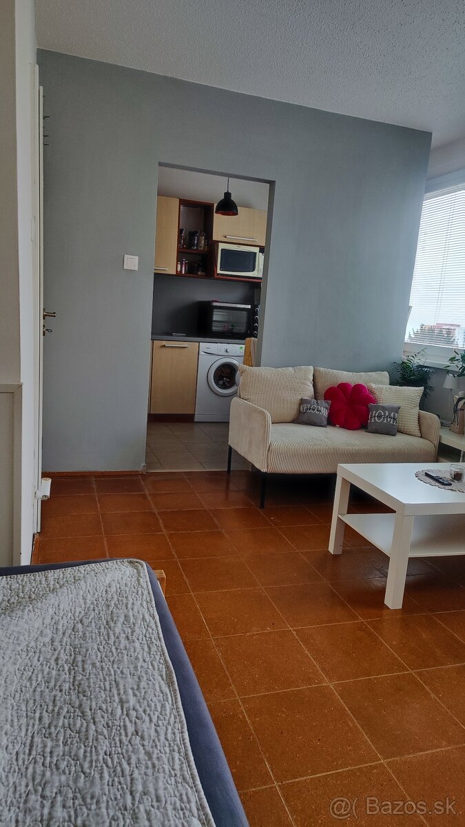 1izbový byt na prenájom - 7