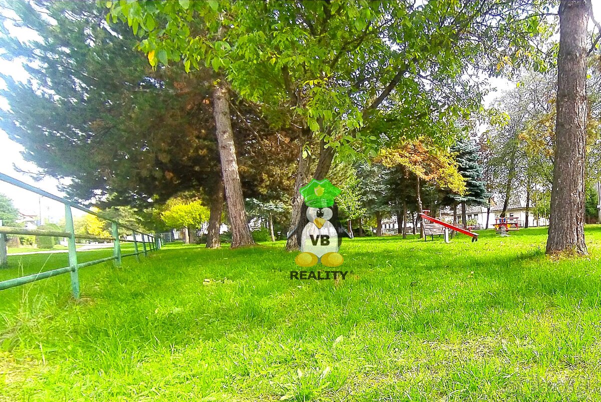 Fotografia 7