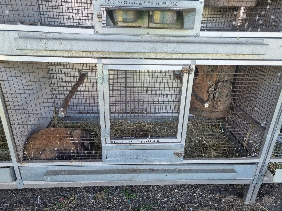 Voliéry..Klietky.Zajačník - 7