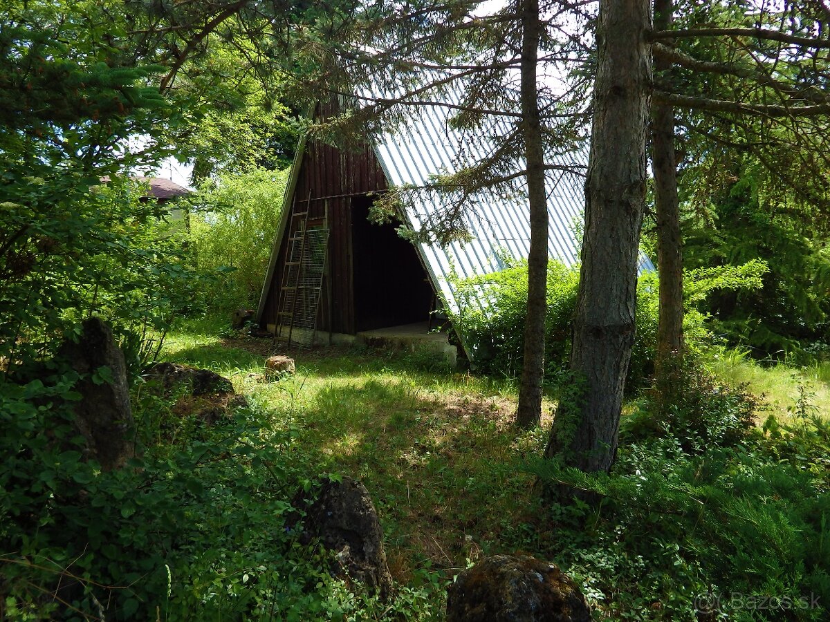 Záhrada nad Dubčekovou ulicou NMnV - 7