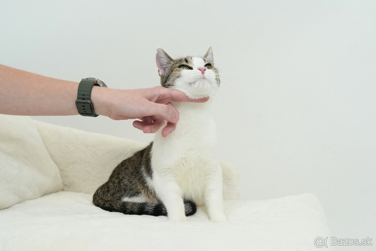 MRKVIČKA hľadá domov - 7