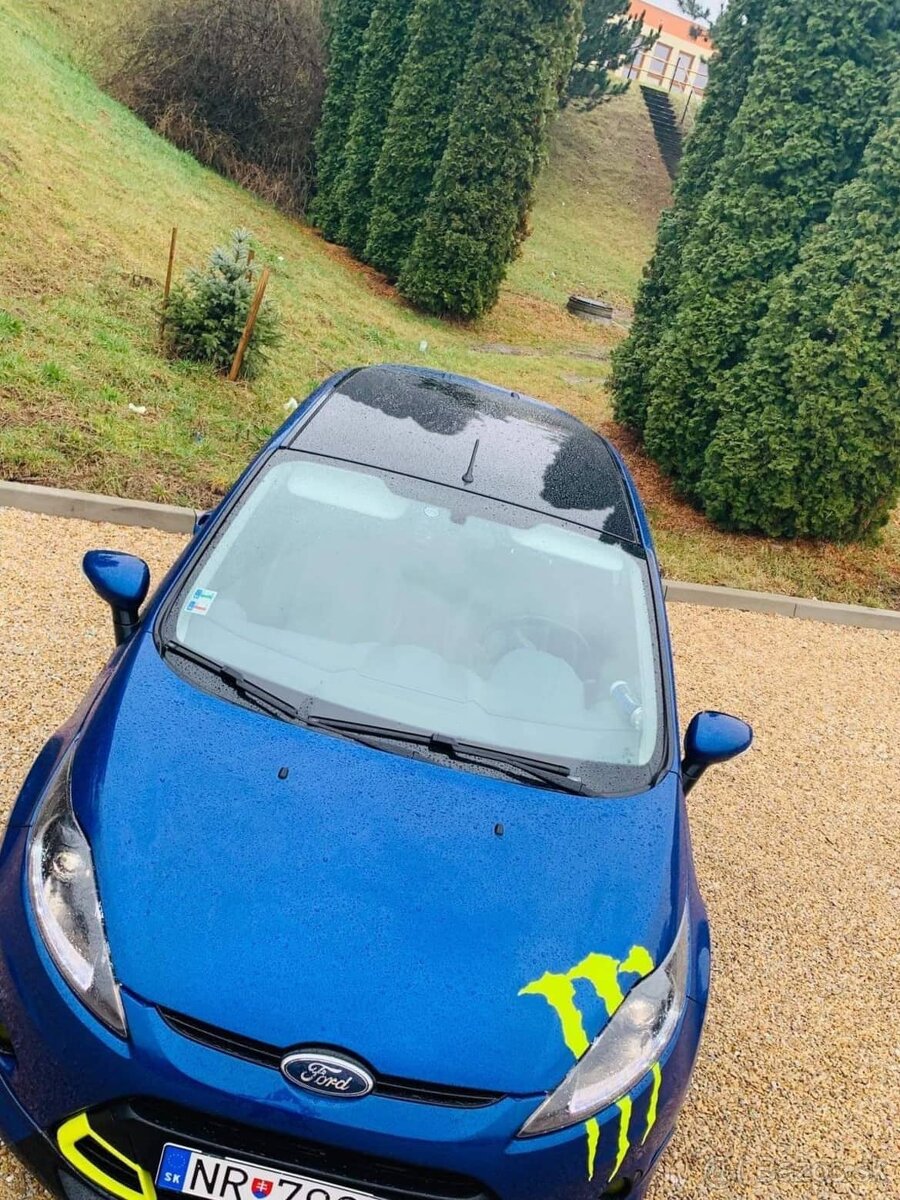 Ford fiesta s1600 - 7