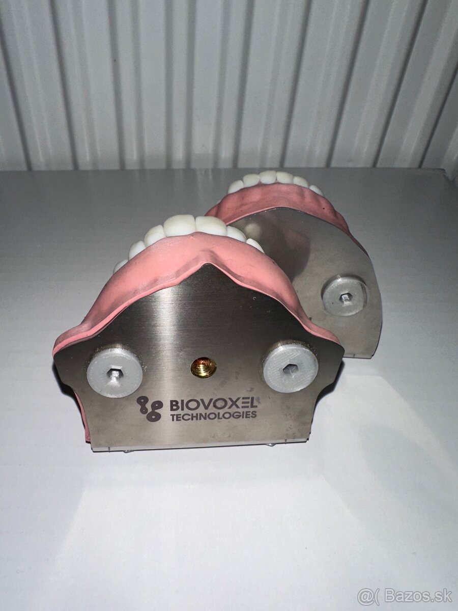 BioVoxel Typodont Čelusť - 7