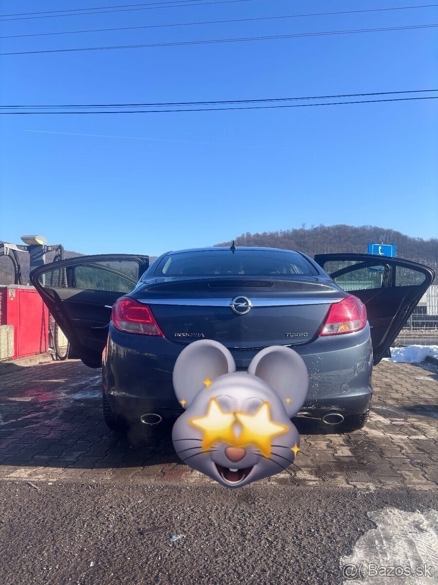 Opel Insignia turbo 132kw-2009/10. - 7