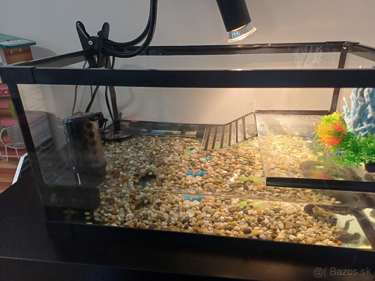 Akvarium s prislusenstvom - 7