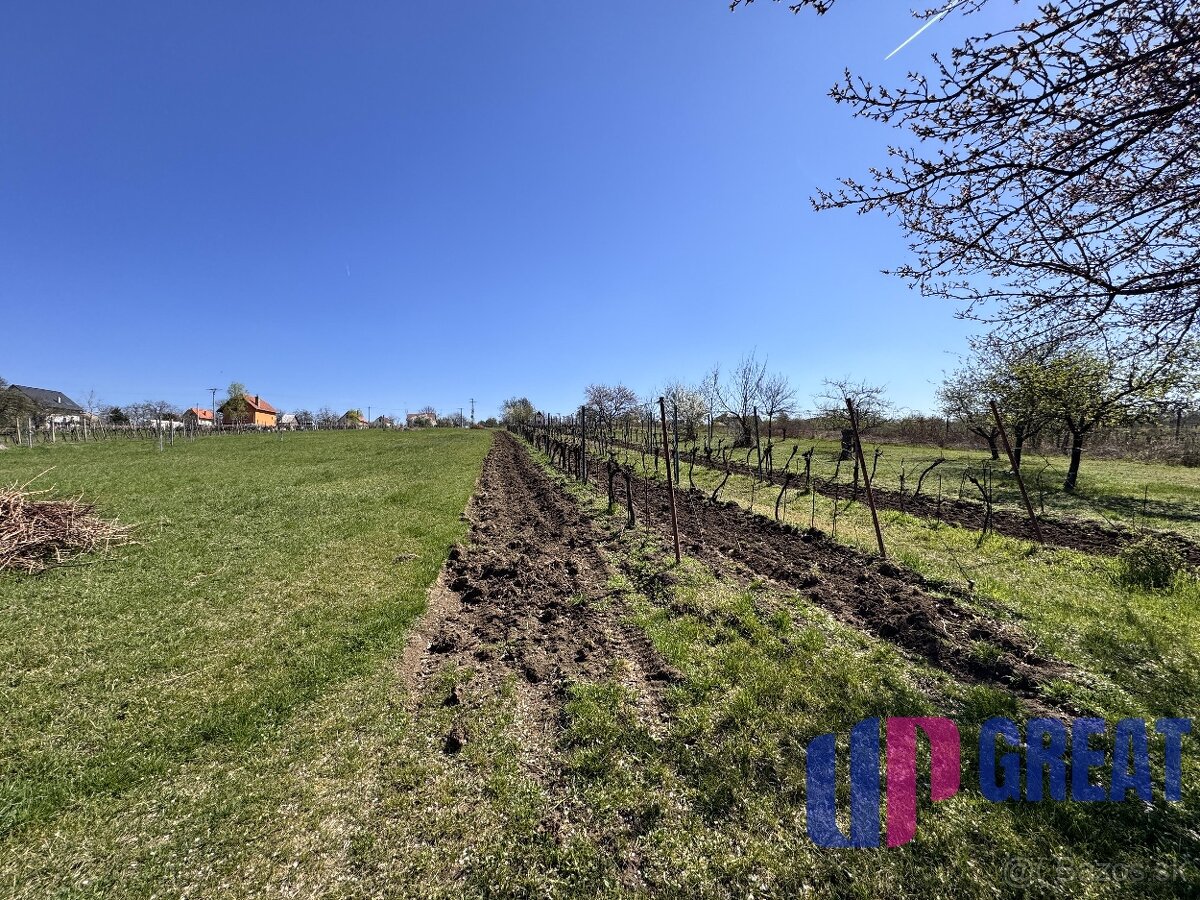 Pozemok s nádherným výhľadom na Skalicu–vinohrad so sklepom - 7
