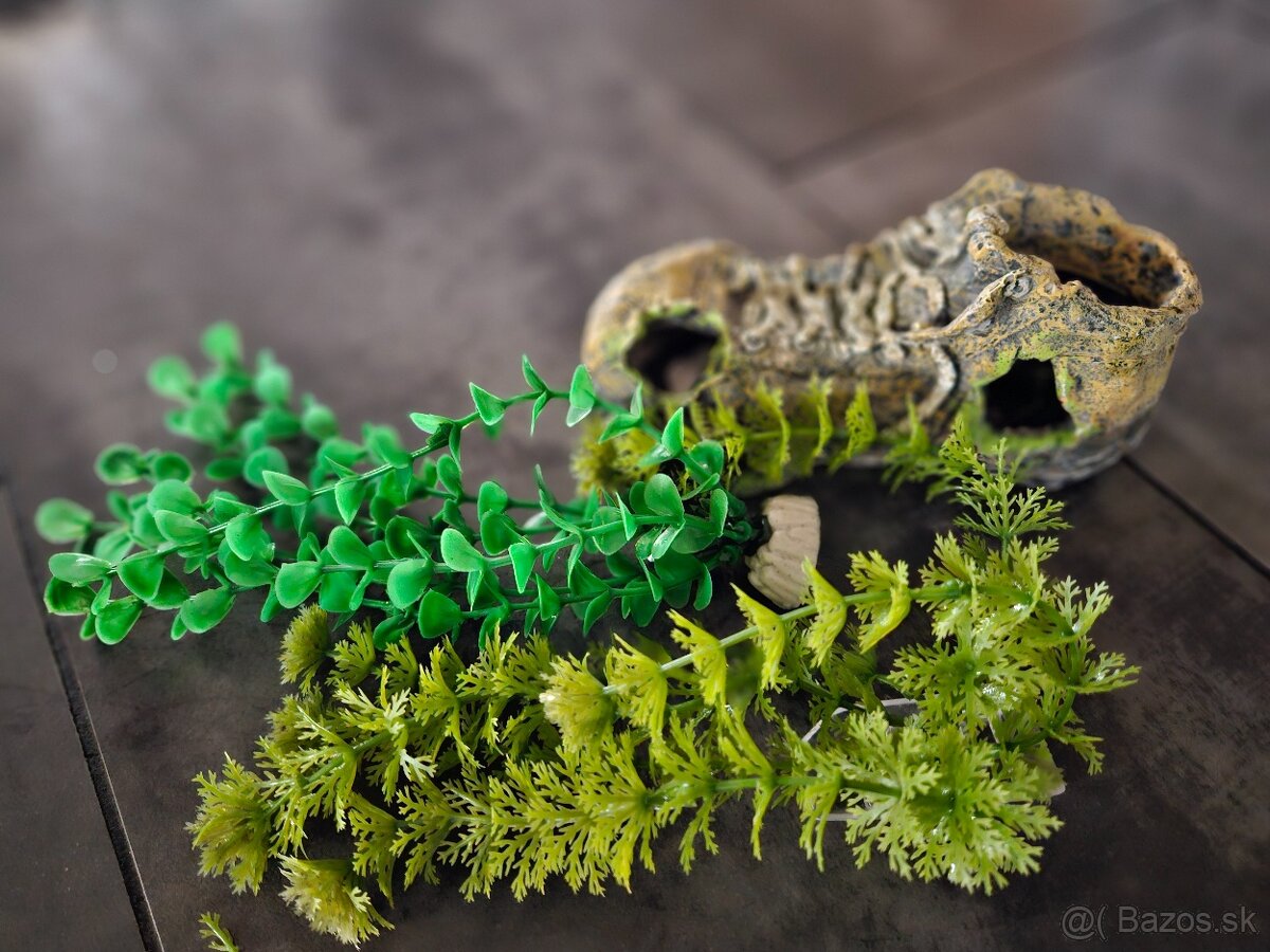 Akvárium 50x20cm - 7