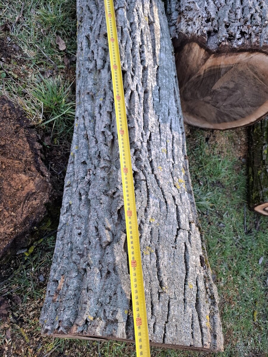 Predám orechové drevo - 7