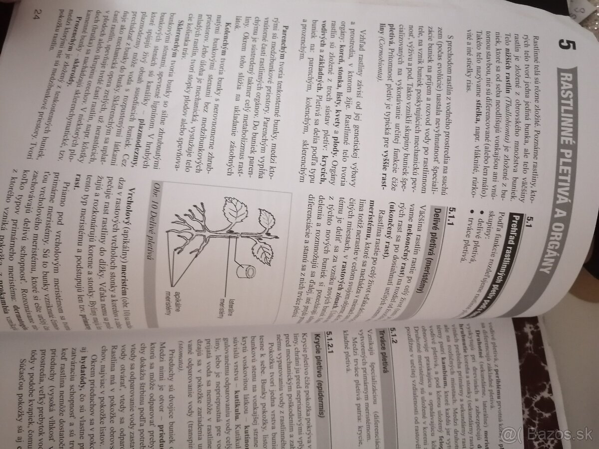 Maturita z biológie - 7