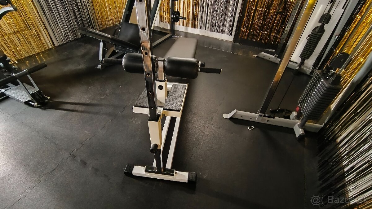 Technogym abdominal bench isotonic - 7