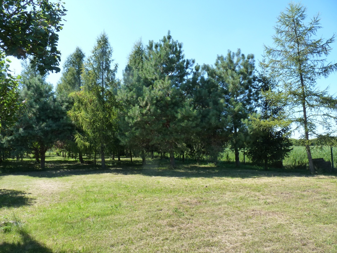 Predaj, dom, pozemok, usadlosť, Rastislavice - 7