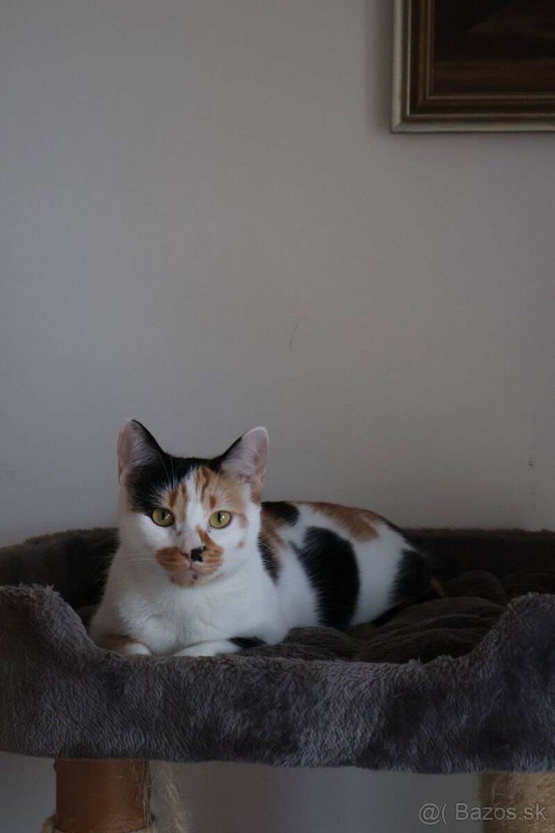 Len do dobrých rúk - 7