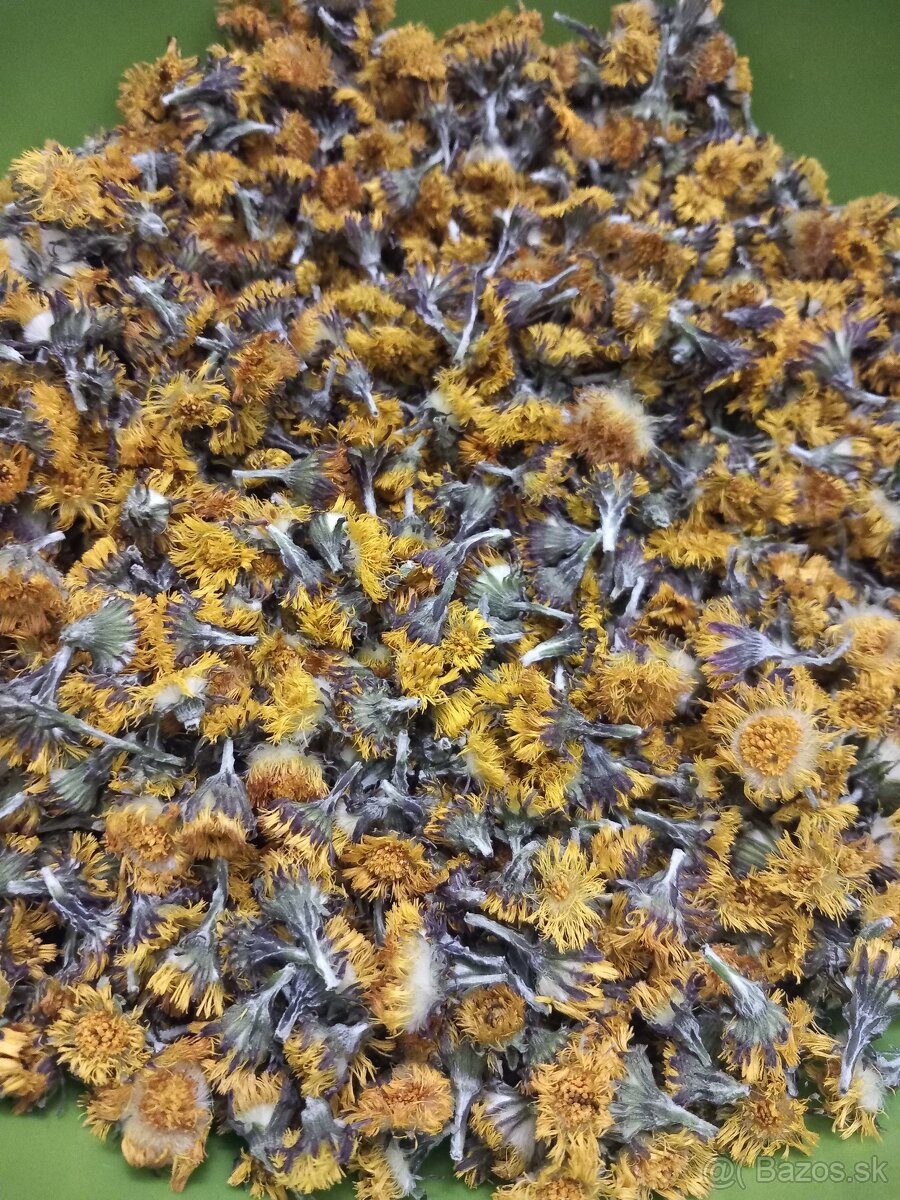 Sušené bylinky - 7