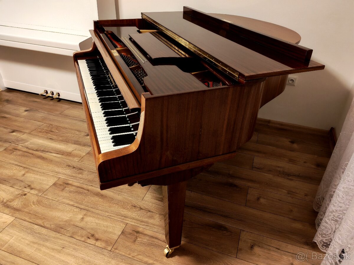 Nepremeškajte Najmenšie klavírne krídlo - 7