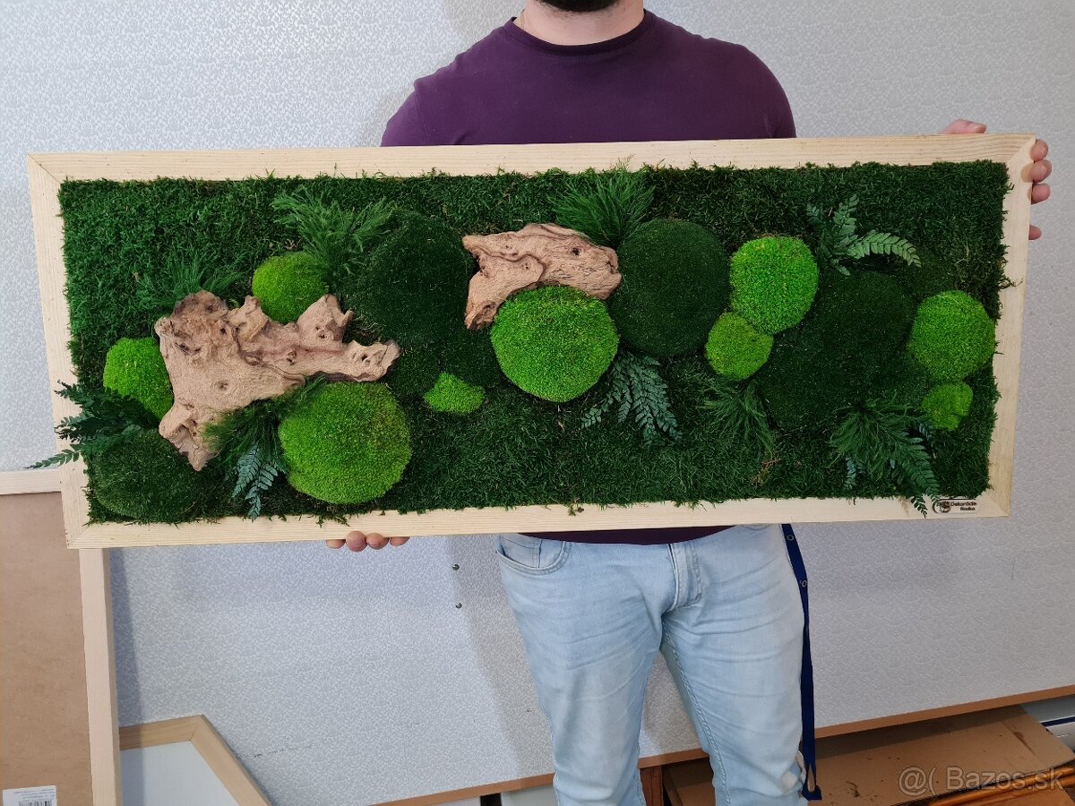 Machový obraz rastliny - 7