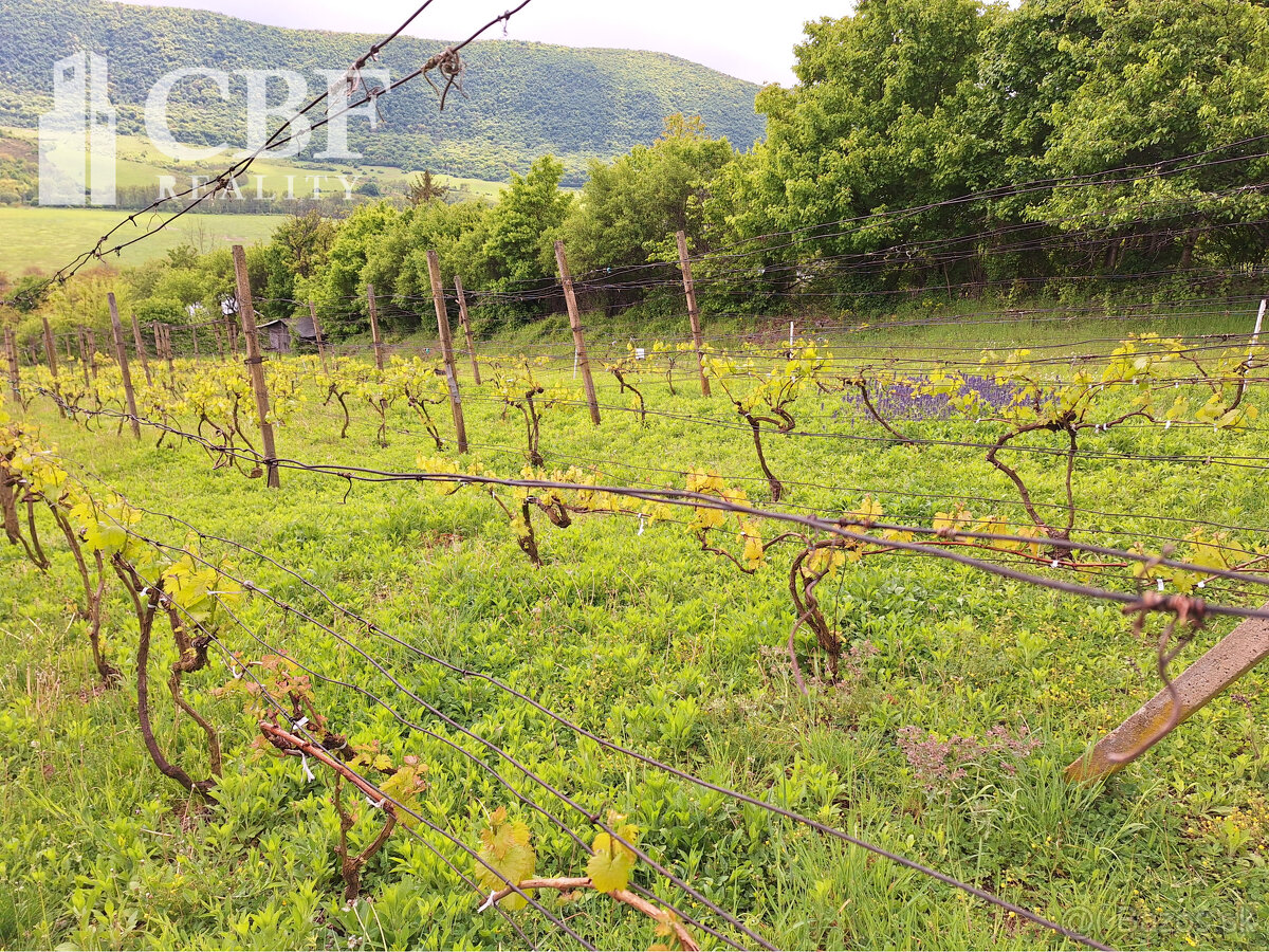 22.000 ZÁHRADKÁRSKA CHATKA S VINIČOM NA PREDAJ V HRHOVE - 7