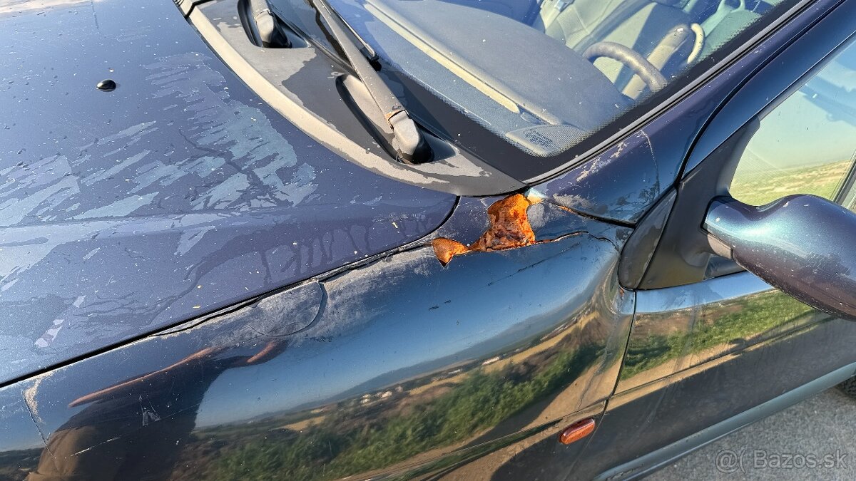 Renault Megane Scenic - 7