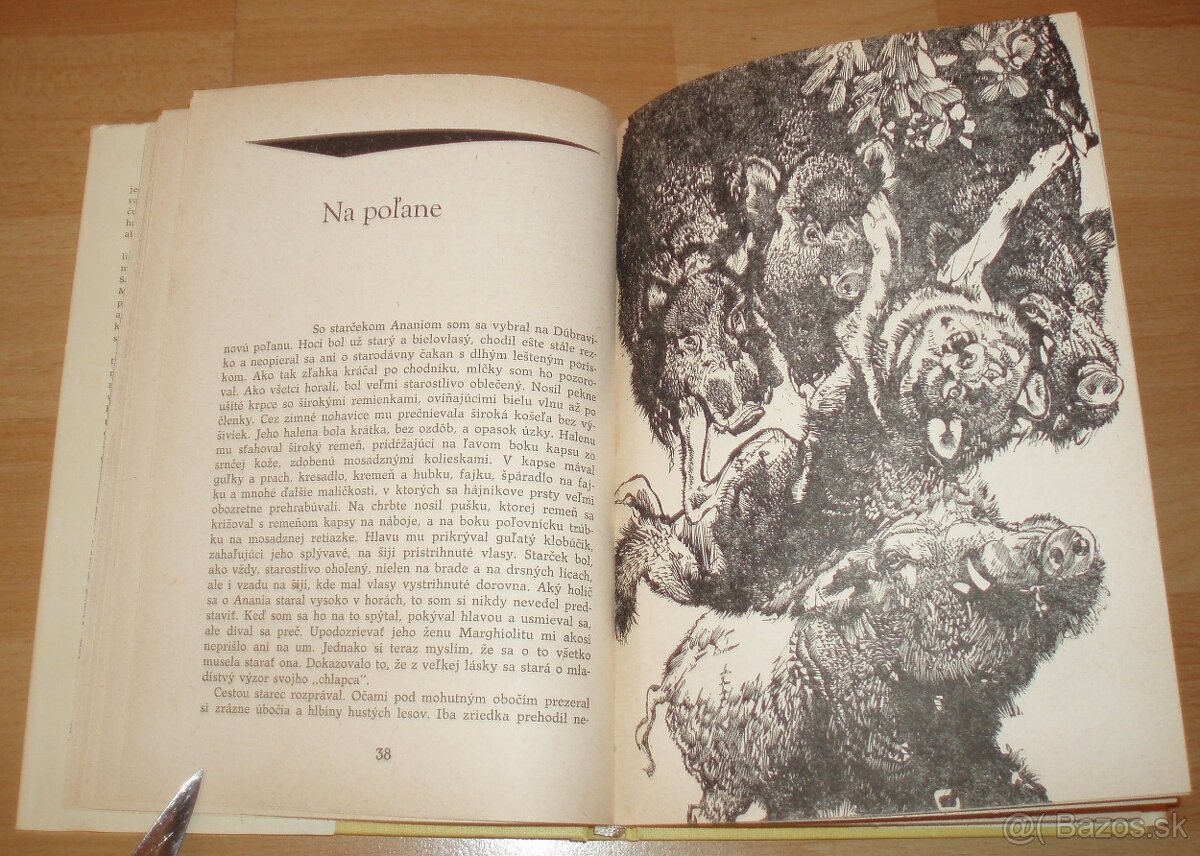 Srny svätého Antona - 7