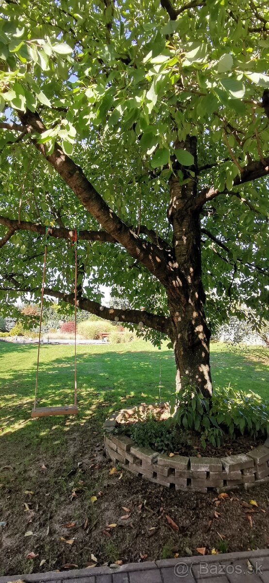 Výnimočná ponúka domu v ZM - 7