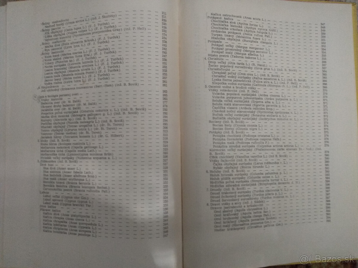 Poľovníctvo I. - 7