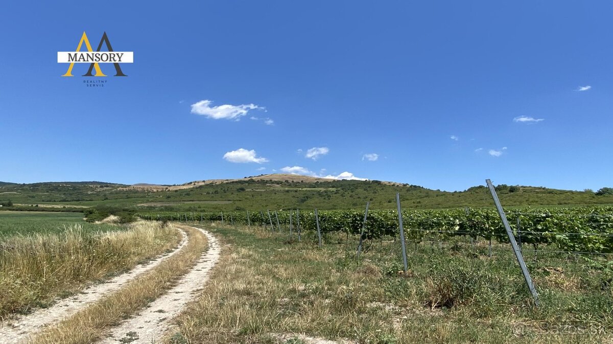 Na predaj vínny dom s vinicami a vínnymi pivnicami 13974 m2 - 7