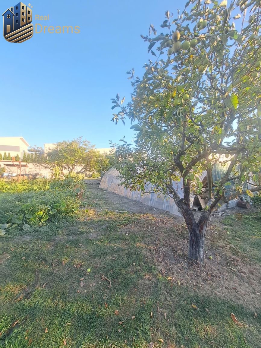 Rodinný dom s veľkým pozemkom v Kolárove – ideálny na bývani - 7