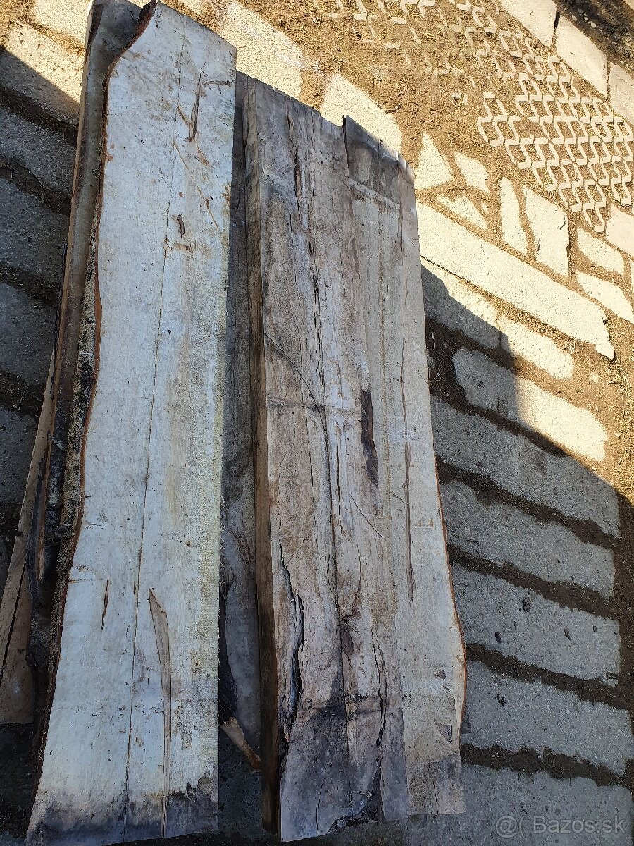 Stare rezivo - pagaštan fošne. - 7