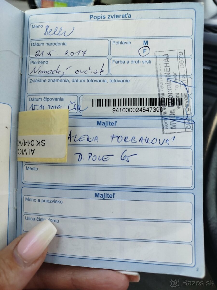 Fenka Bella 8.rokov - 7