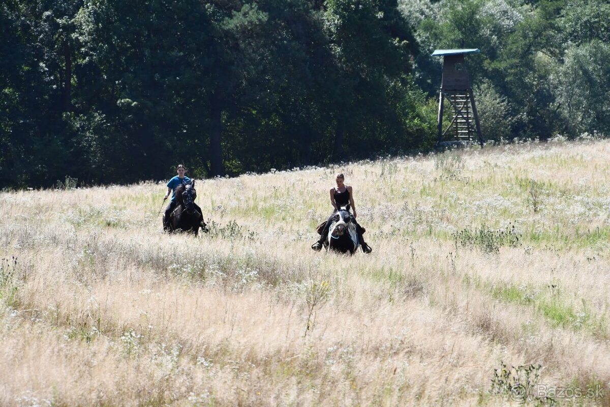 USTAJNENIE / JAZDENIE - 7