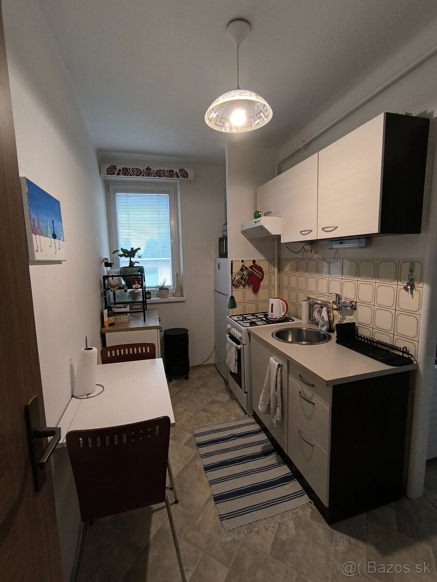 1 izbovy byt - 7