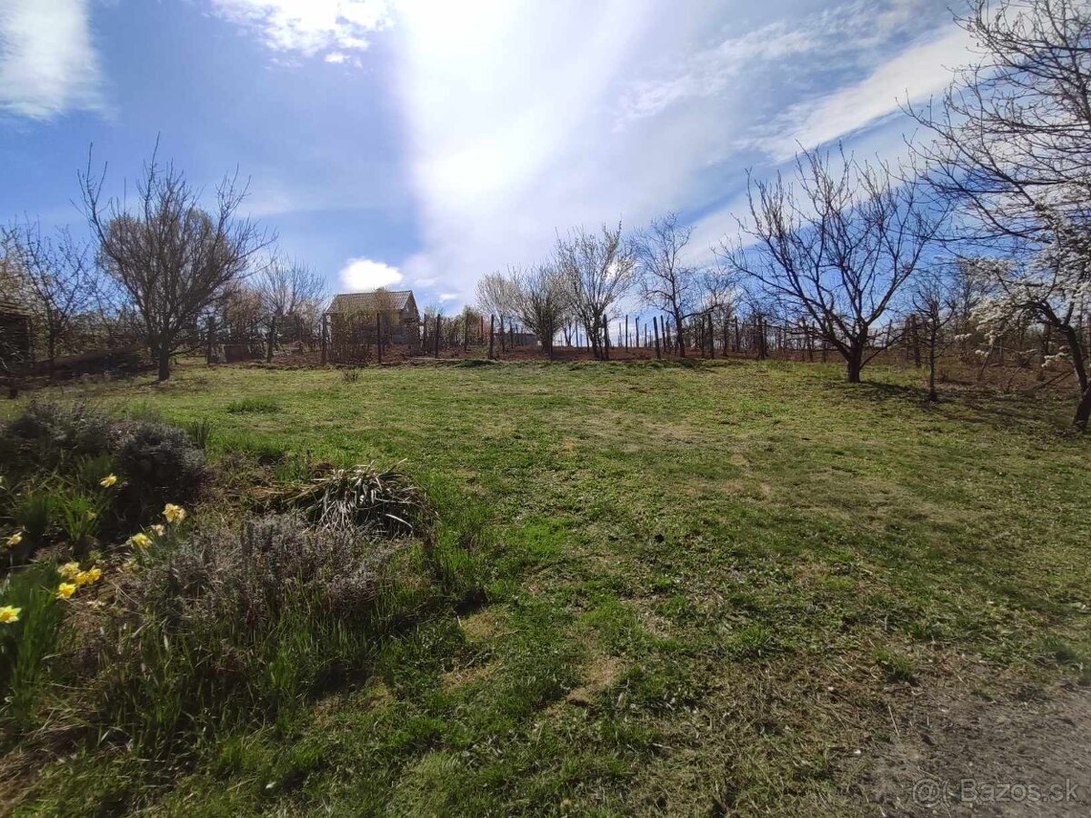 Na predaj viničný dom s 15a pozemkom, Staré predné Levice - 7