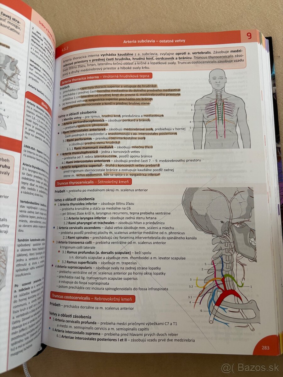 Memorix anatomie slovensky jazyk - 7