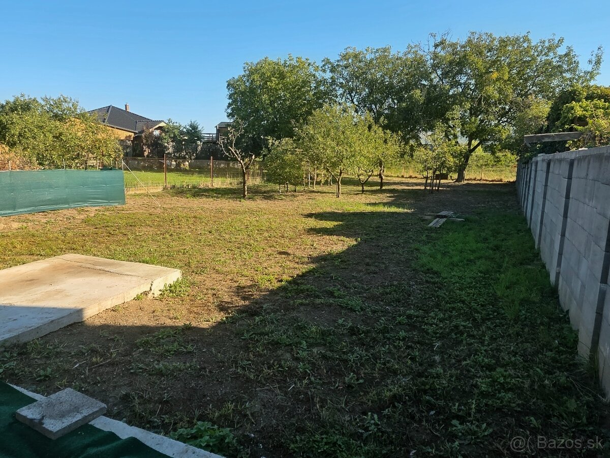 Fotografia 7