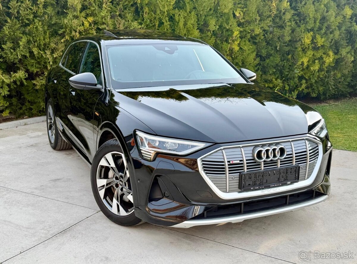 AUDI E-Tron S-line Quattro,230KW/313PS,PANO,KOZA,KAM,MATRIX - 7