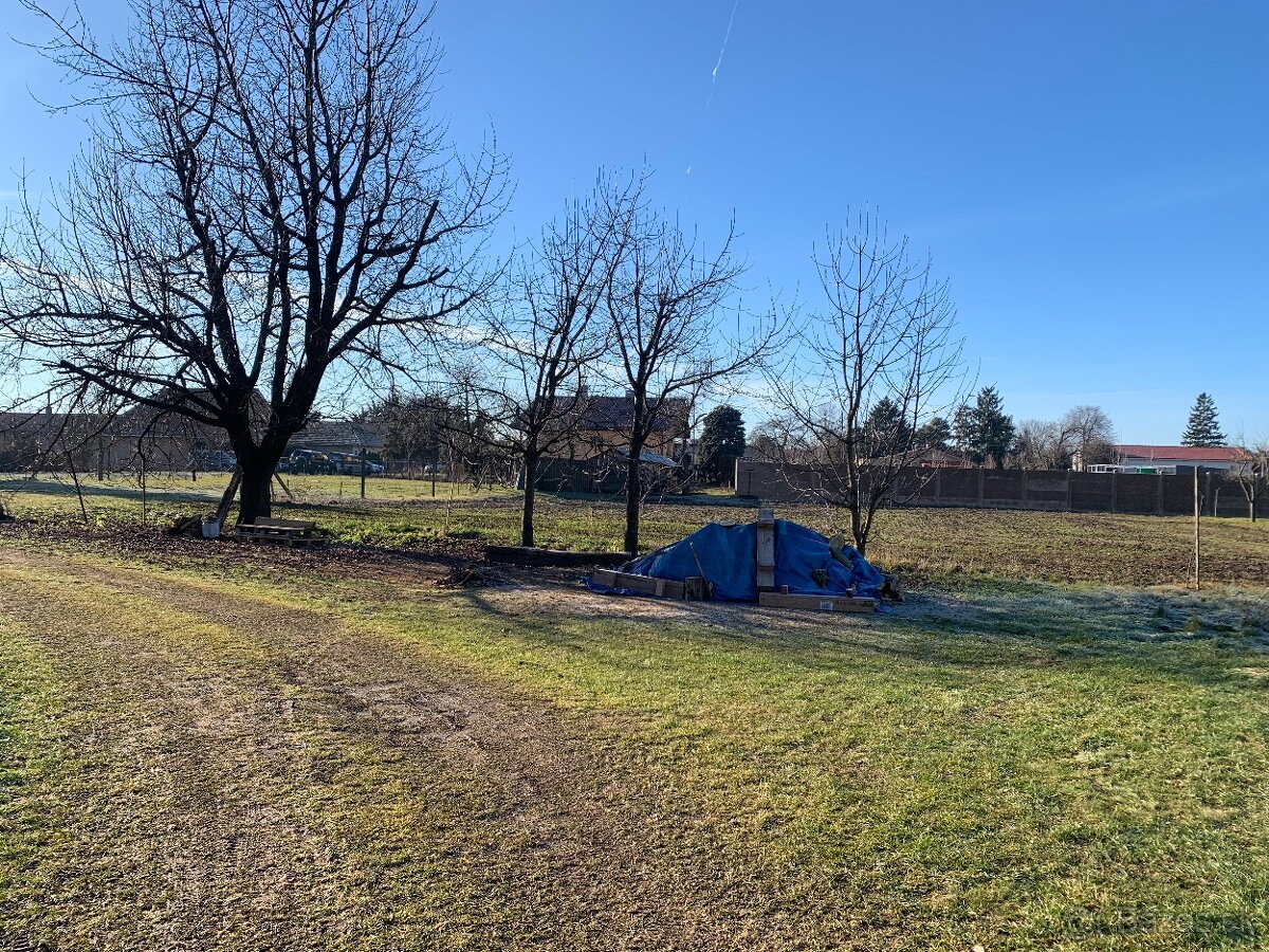 Medvecké, okres Levice - 7