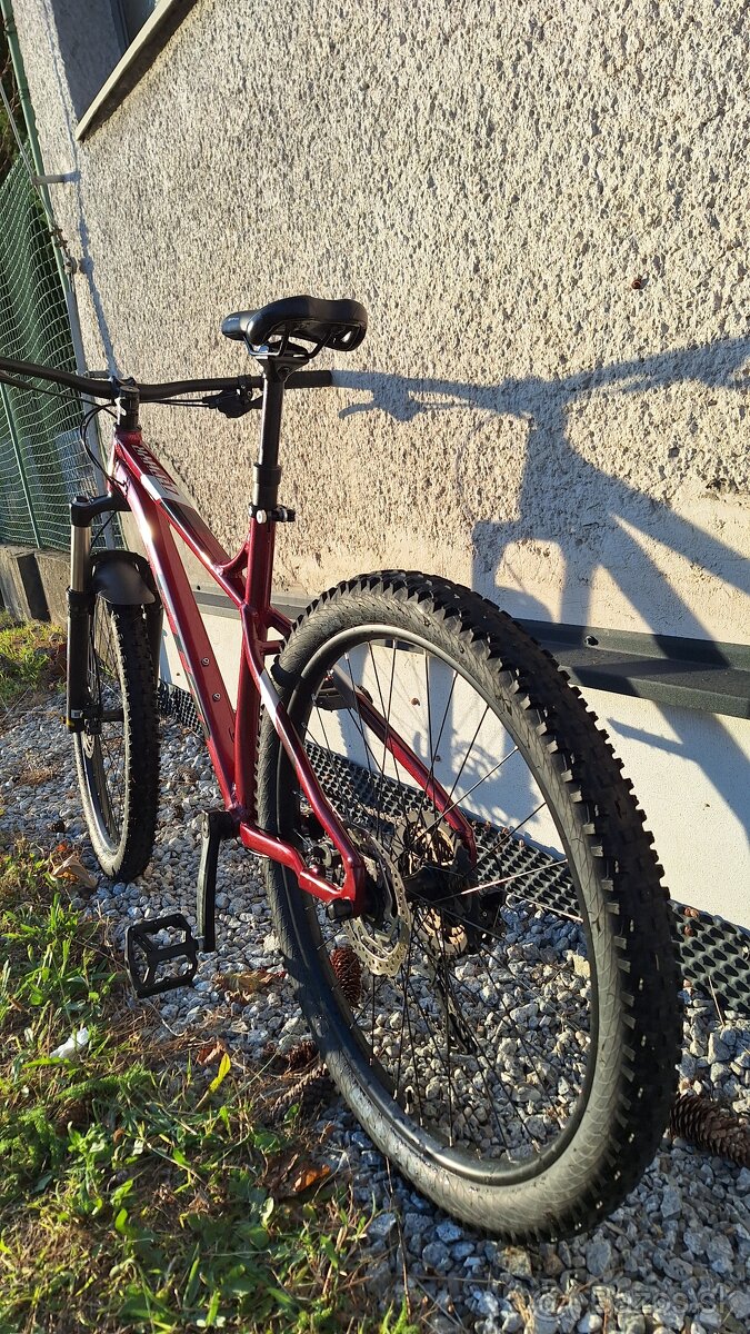 CTM Zephyr Xpert 2020 - 7