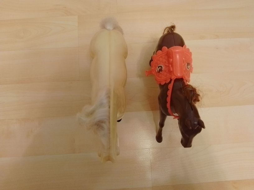 Koníky a poníky - 7