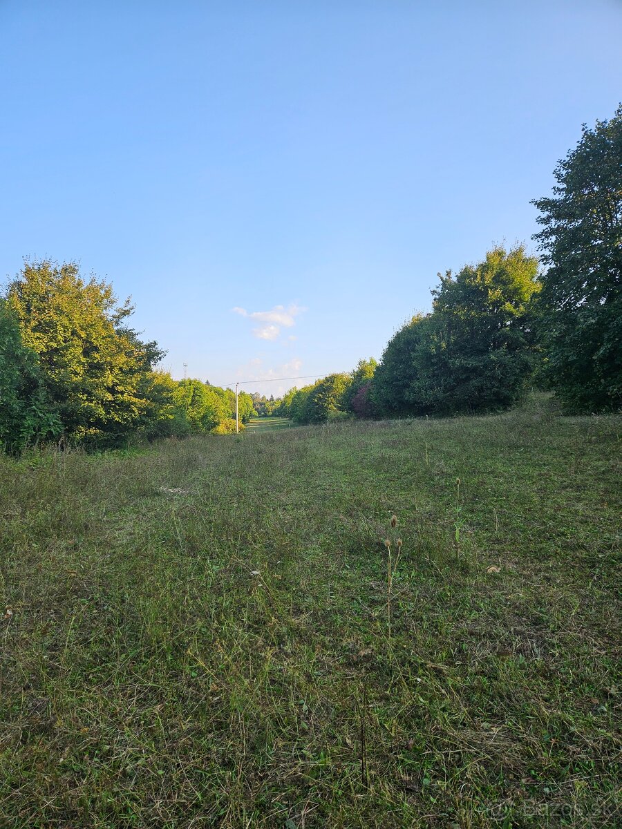 ustajnenie koni, vychadzky vodenie pre deti - 7