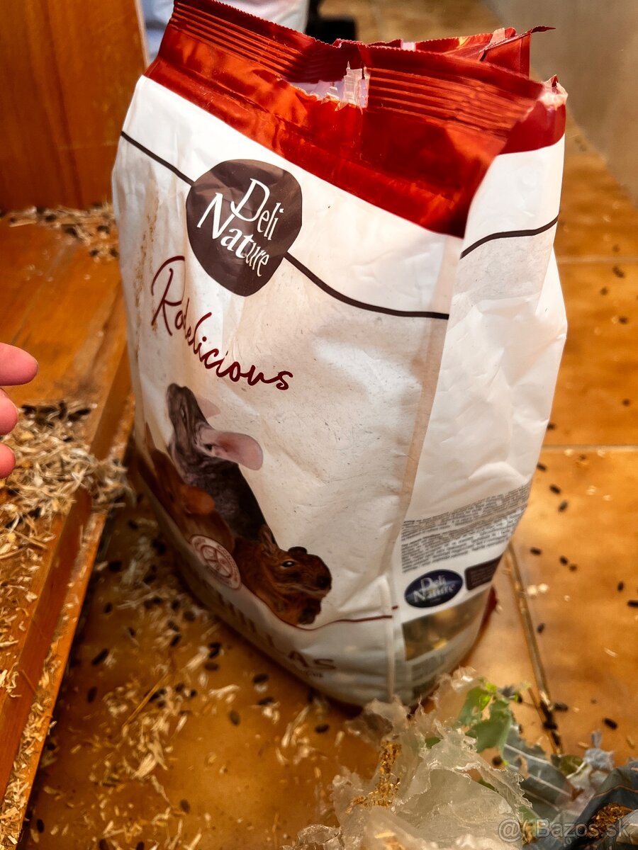 Predám Činčilu REZEROVANÉ VŠETKY - 7